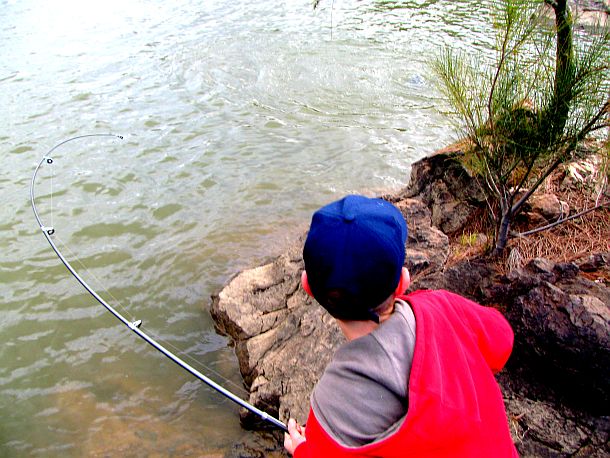 Catching a mighty Murray cod
